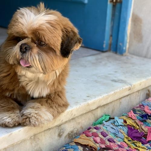 Photo #5333999