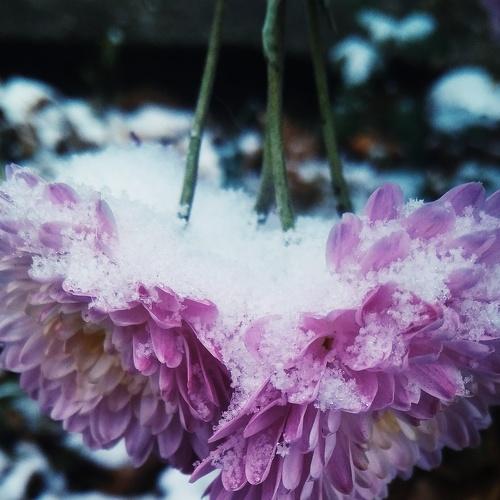 Photo #5334362