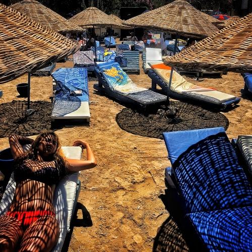 Photo #5334377