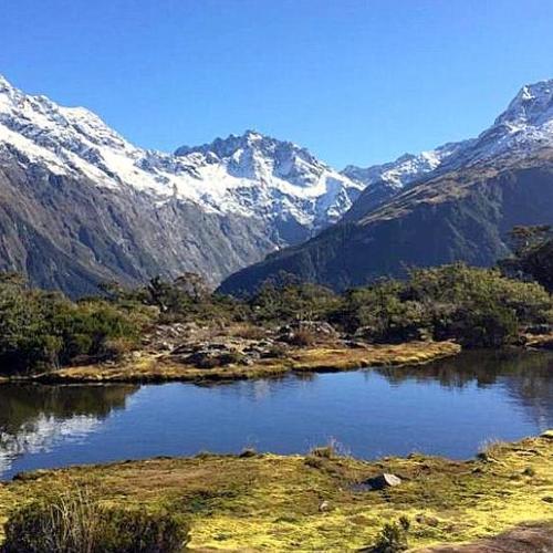 Photo #5334448