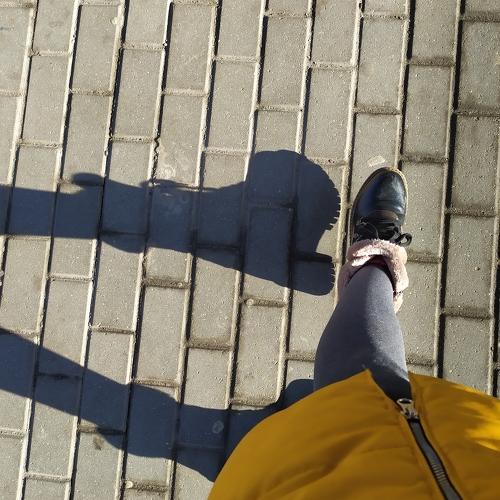 Photo #5334508