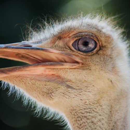 Фотография #5334799