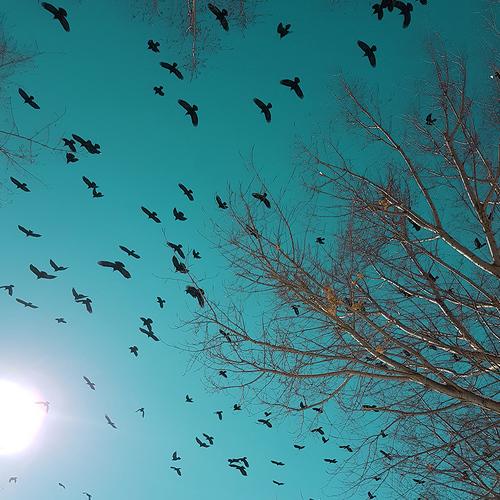 Photo #5334866