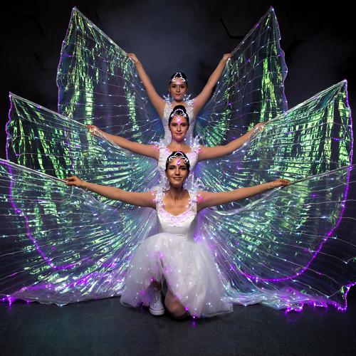 Photo #5335428