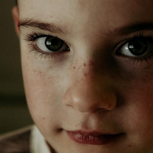 Photo #5336232
