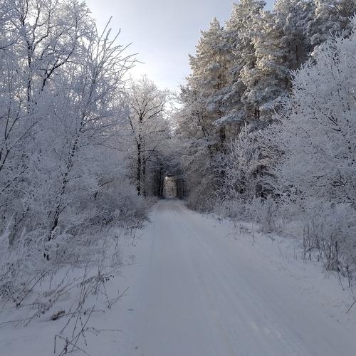 Photo #5336254