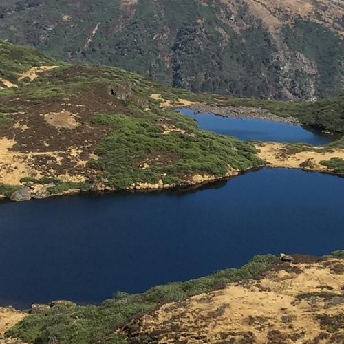 Photo #5336516