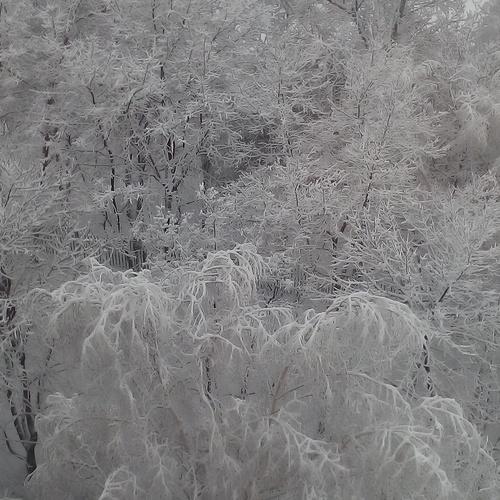 Photo #5338014