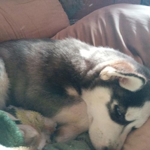 Photo #5338029