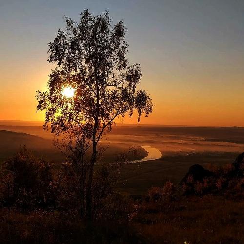 Photo #5338727