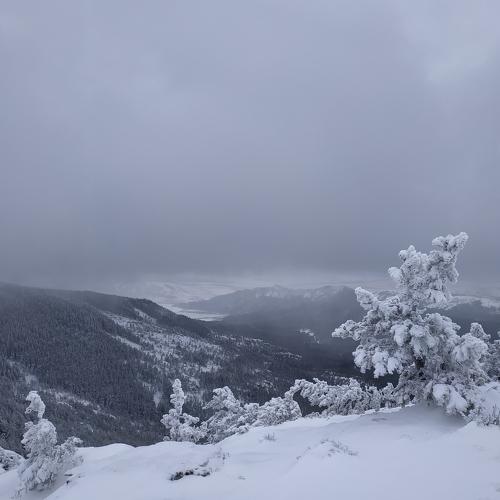 Photo #5338936