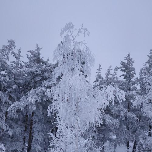 Photo #5338960