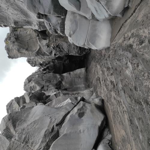 Photo #5339086