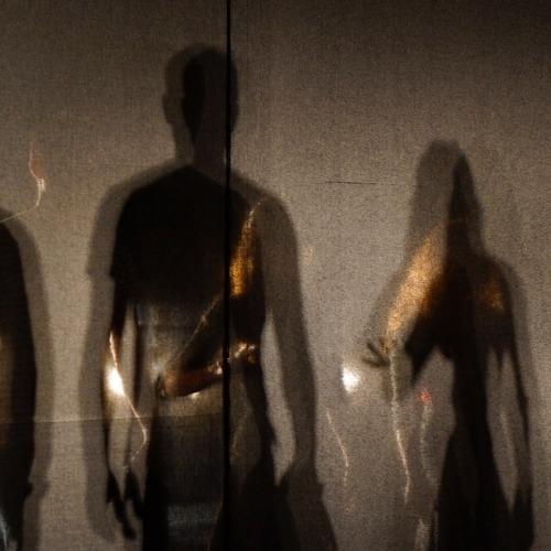 Photo #5339388