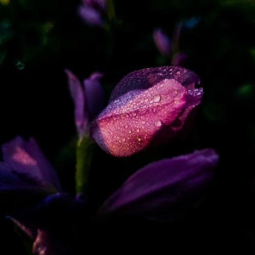 Photo #5339401
