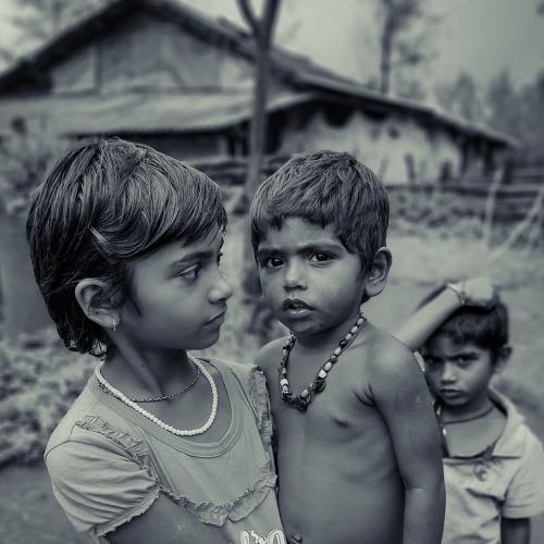 Photo #5339822