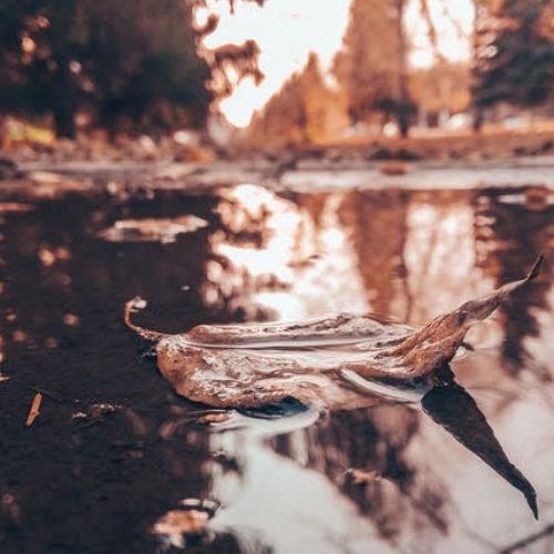 Photo #5340027