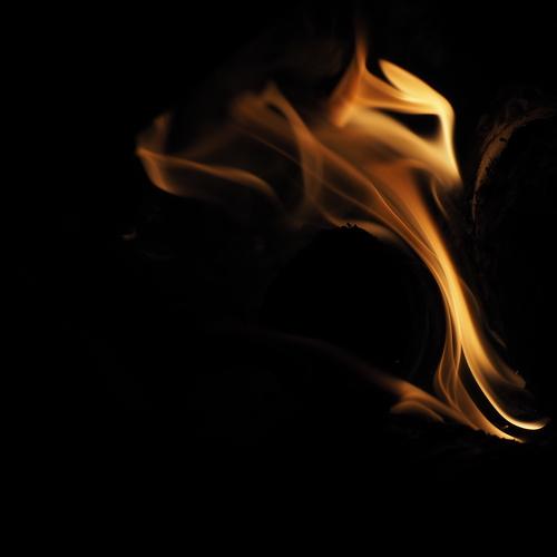 Photo #5340121