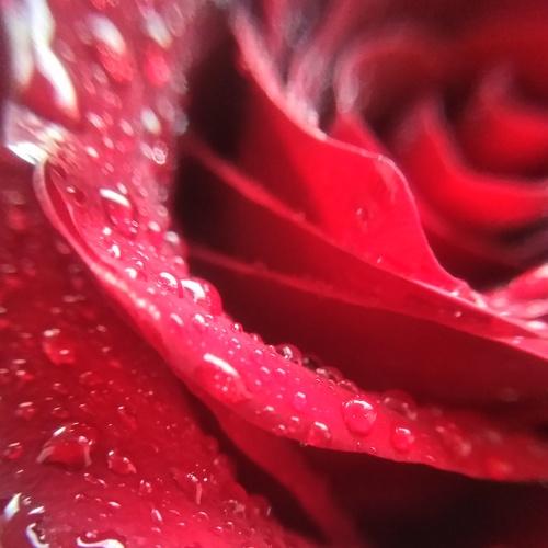 Photo #5340853