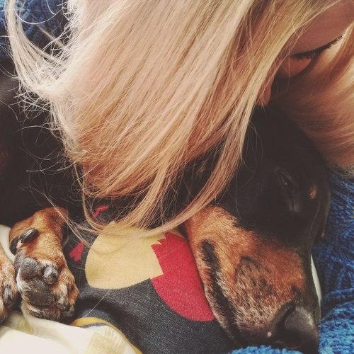 Photo #5341085