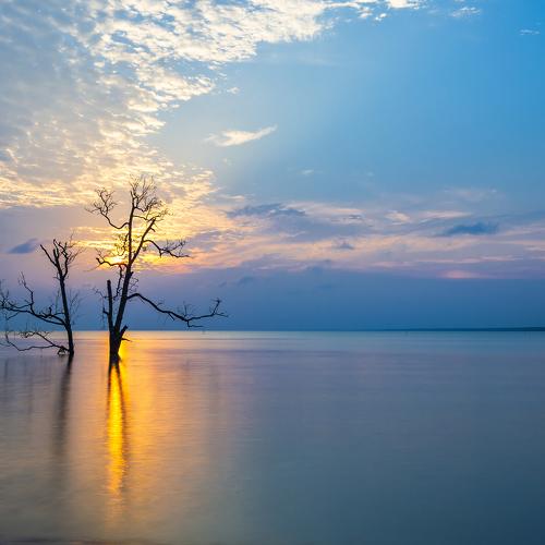 Photo #5341255