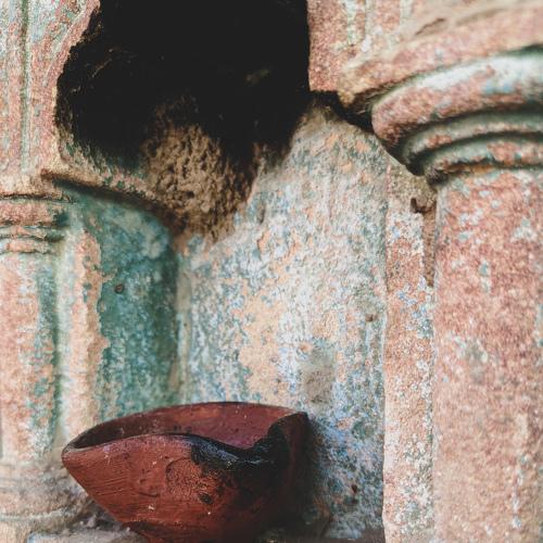 Photo #5341315