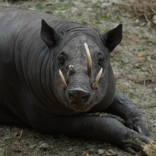 Photo #5341540