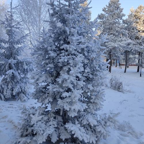 Photo #5341732
