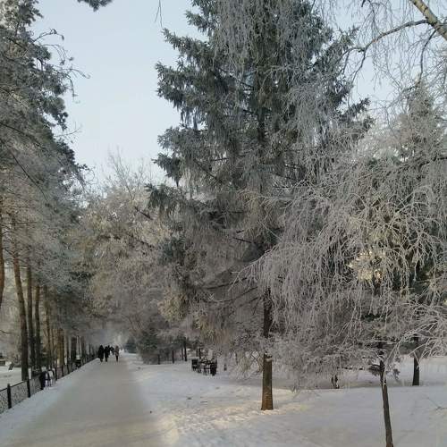 Photo #5341747