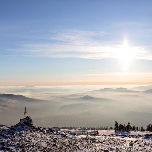 Photo #5341749