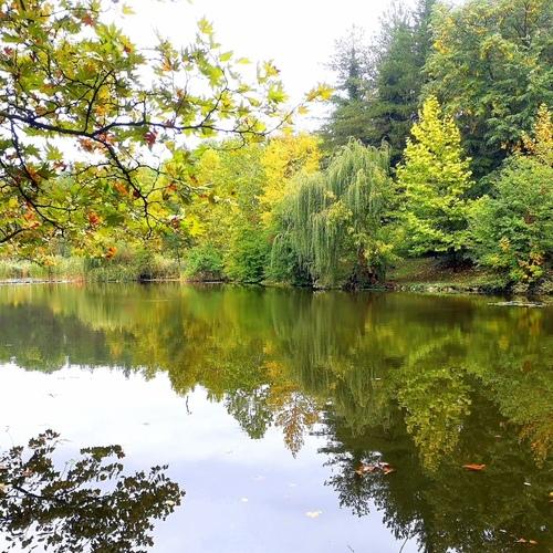 Photo #5341805