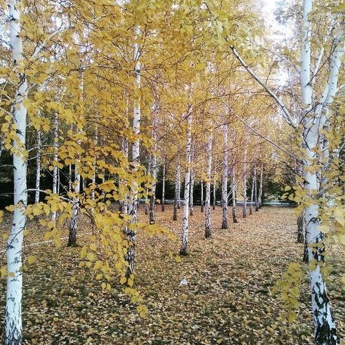 Photo #5341820