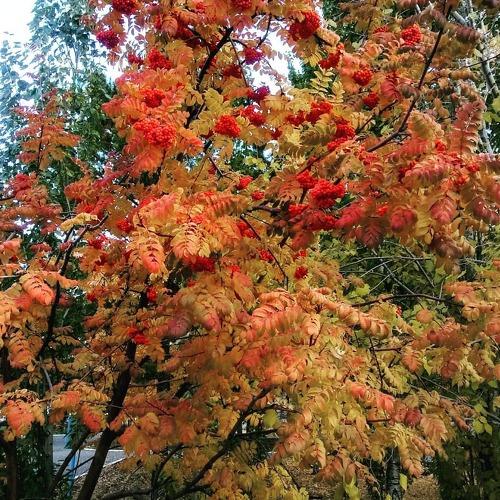 Photo #5341821