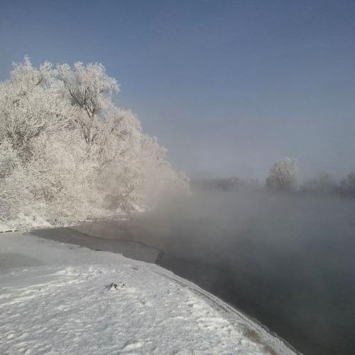 Photo #5341826
