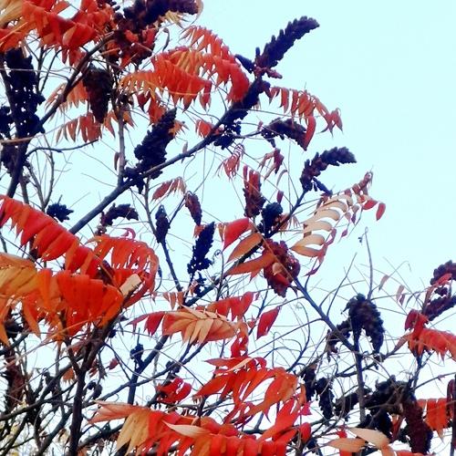 Photo #5341831