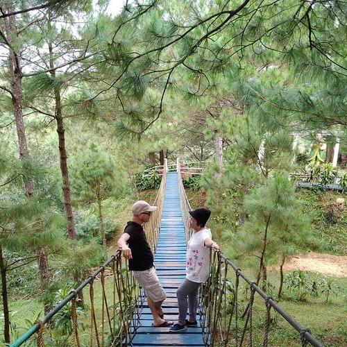 Photo #5341935