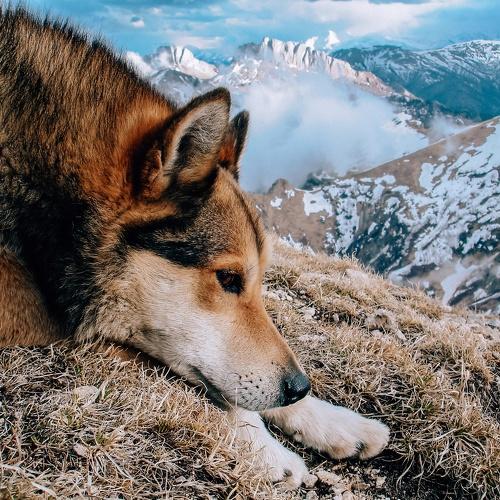 Photo #5341957