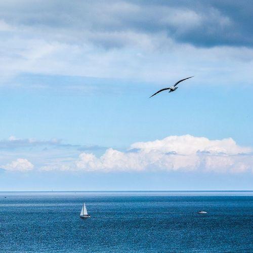 Photo #5342230