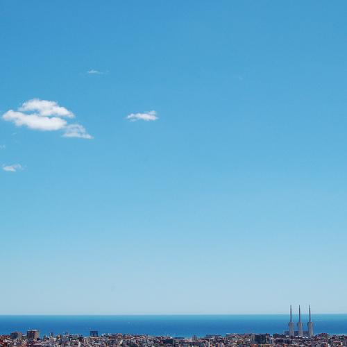 Cel