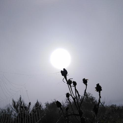 Photo #5343137