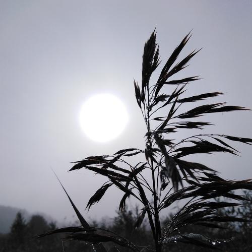 Photo #5343138