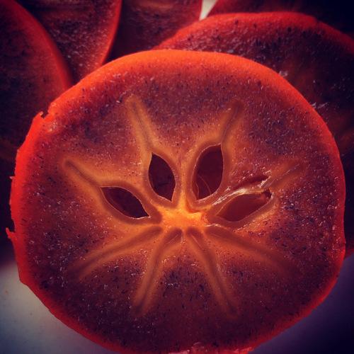 Photo #5343148