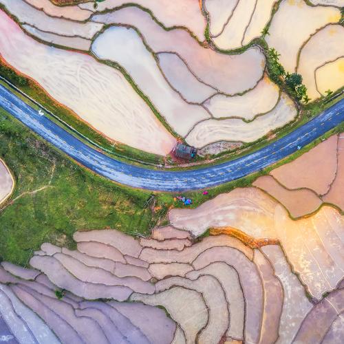 The road through the terraces