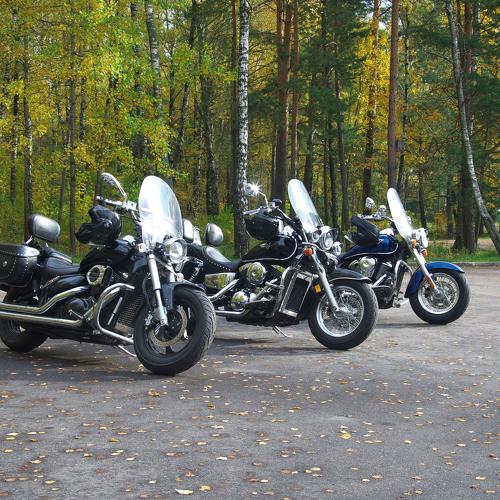 Photo #5343548