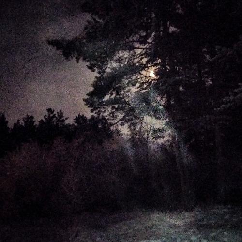 Photo #5343680