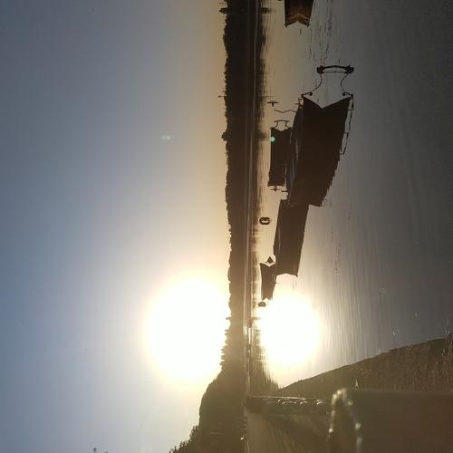 Photo #5343708