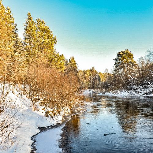 Photo #5343711