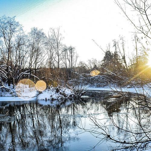 Photo #5343714