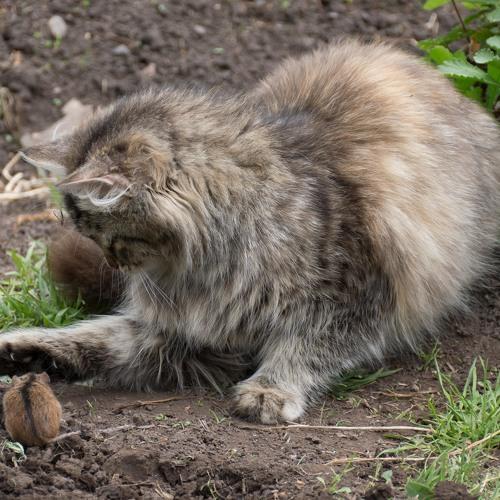 Photo #5343778