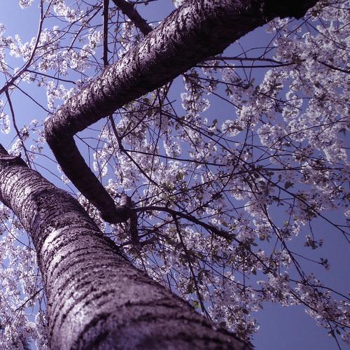 Photo #5343826